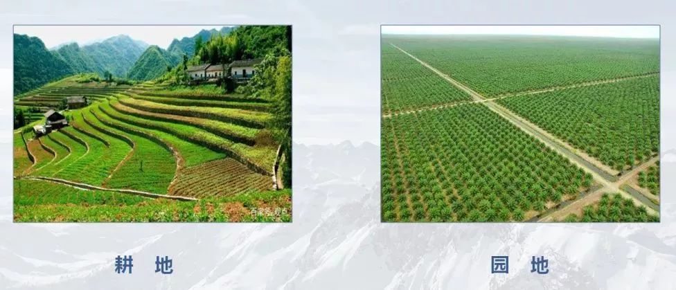 测绘人正在做的:什么是“三调”?