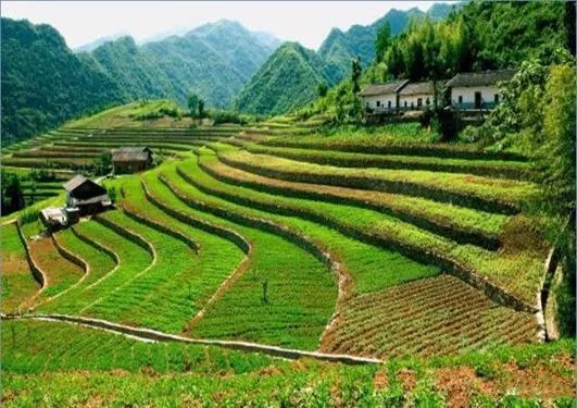测绘人正在做的：什么是“三调”？